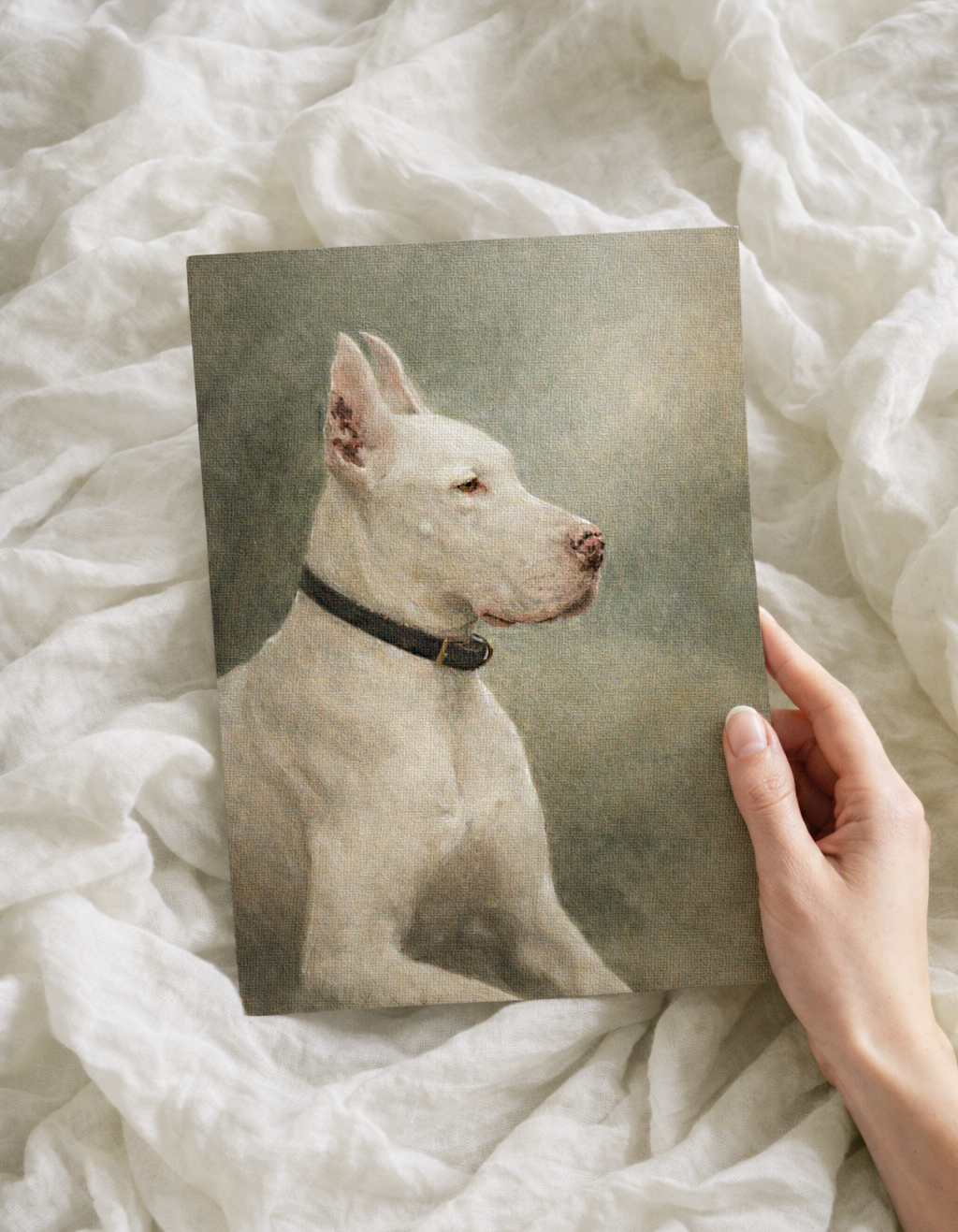 Fine Art Prints