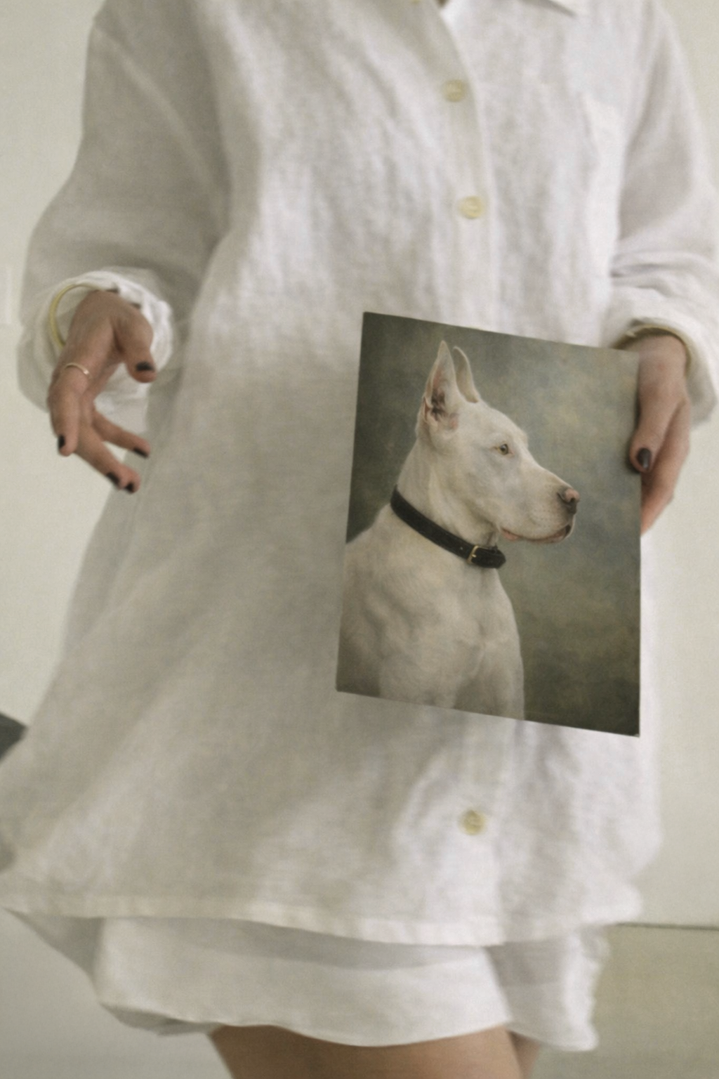 Fine Art Prints